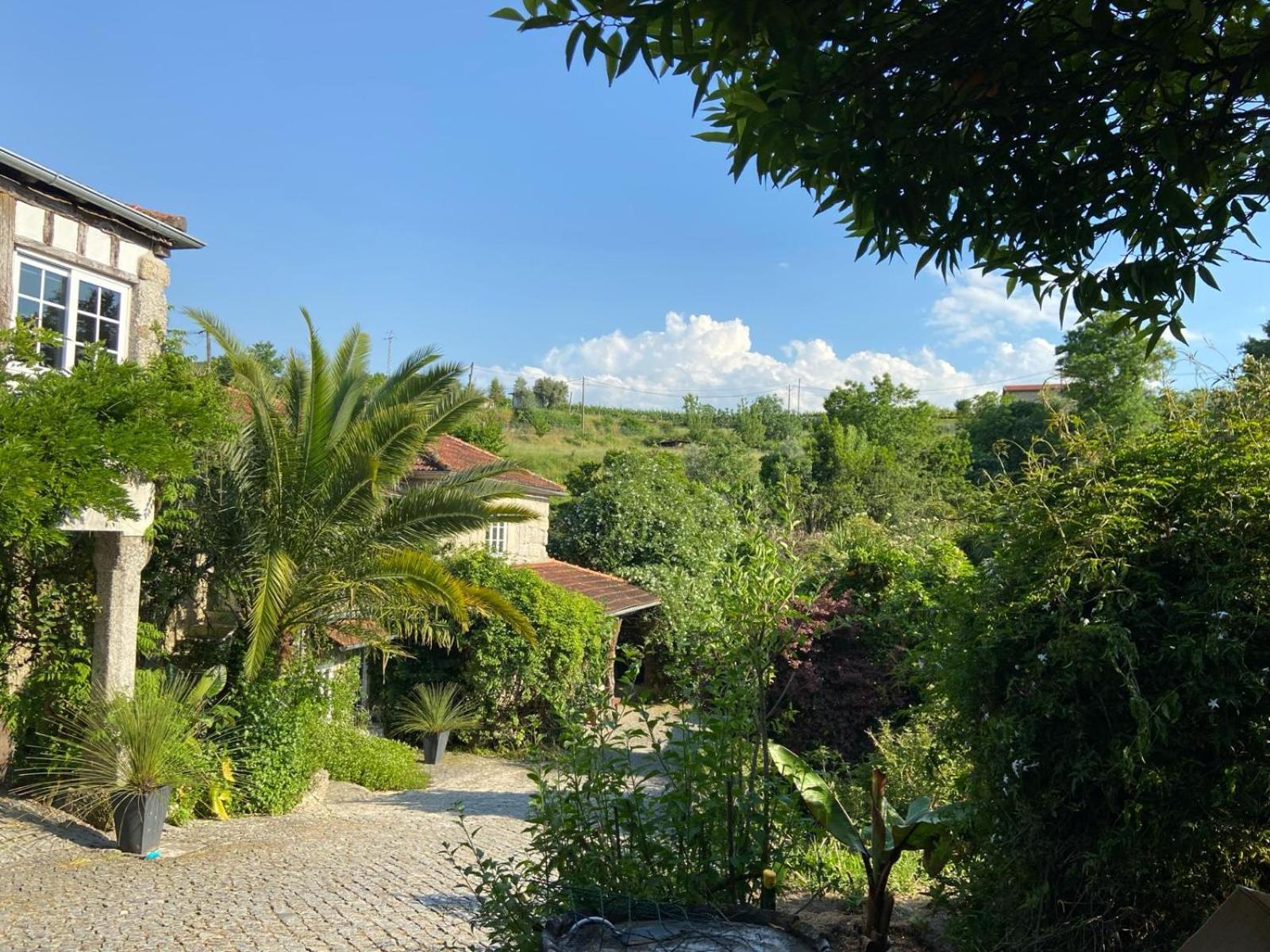 Villa Quinta De Ribas Amarante Exterior foto