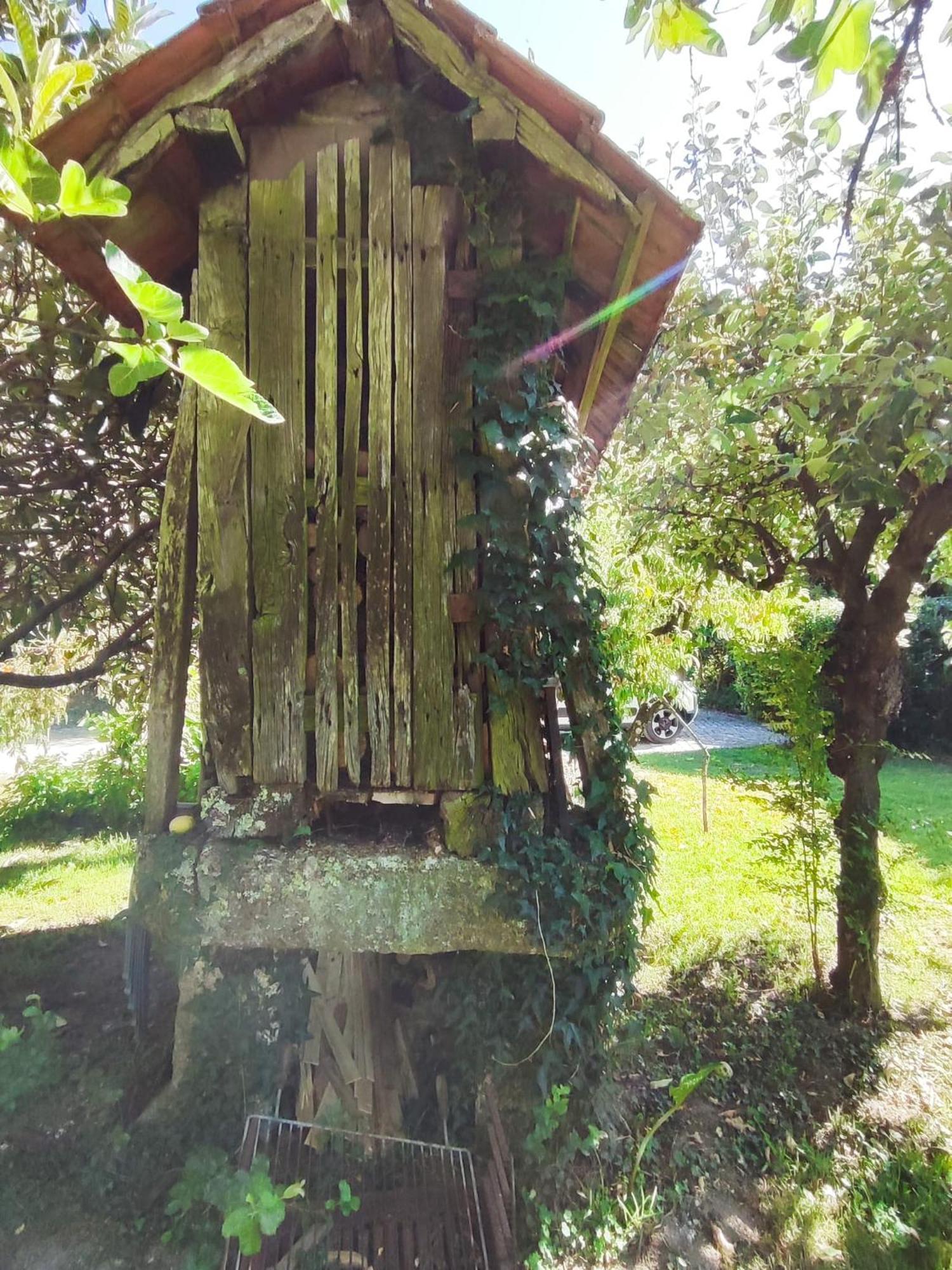 Villa Quinta De Ribas Amarante Exterior foto